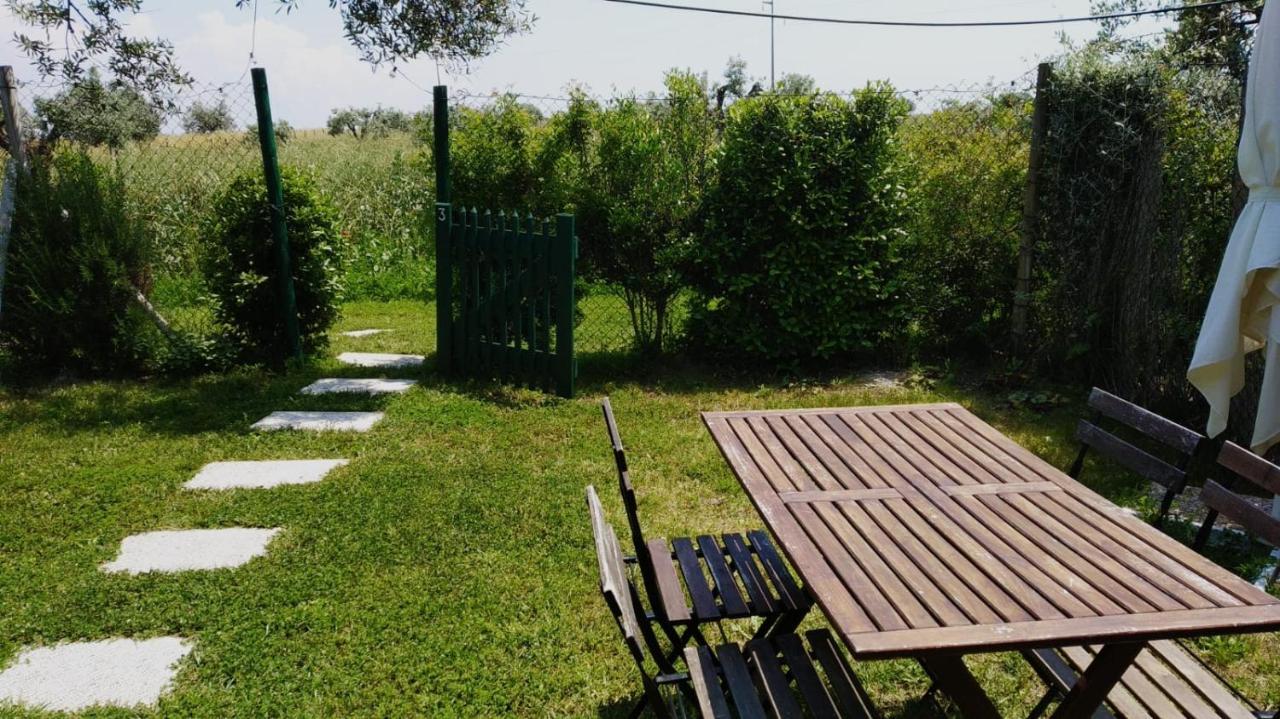 Agriturismo Casale San Benedetto Ceri Exterior photo